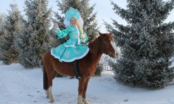 Встреча с лошадью – к счастью!